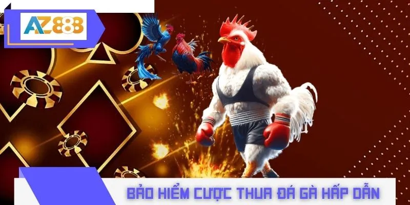 Sự kiện bảo hiểm cược thua đá gà siêu hấp dẫn
